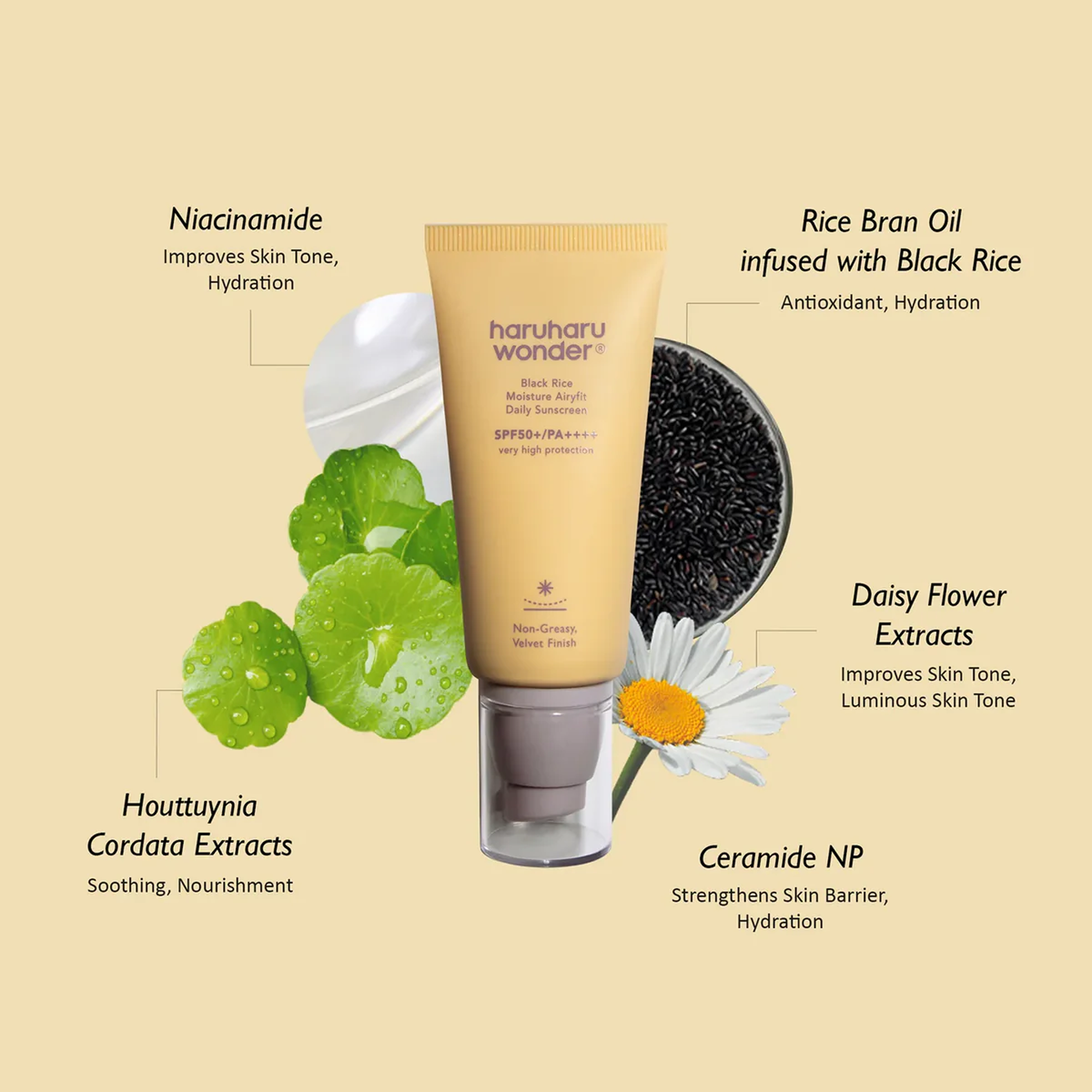 Haruharu Wonder Black Rice Moisture Airyfit Sunscreen